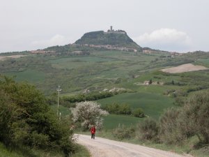 Panorama di Radicofani, in
cammino verso Acquapendente
(14156 bytes)